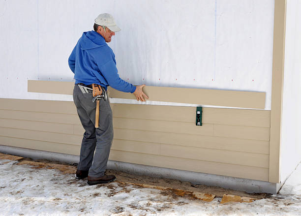 Best Brick Veneer Siding  in Tucson Mountains, AZ