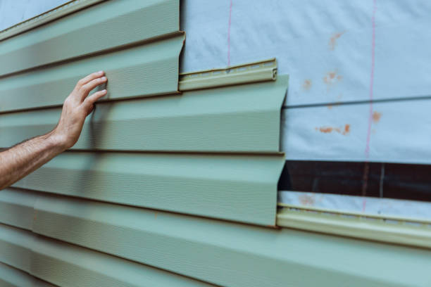 Best Fascia and Soffit Installation  in Tucson Mountains, AZ